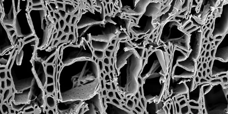 Cấu trúc than hoạt tính: Đặc điểm và ứng dụng trong bảo vệ môi trường