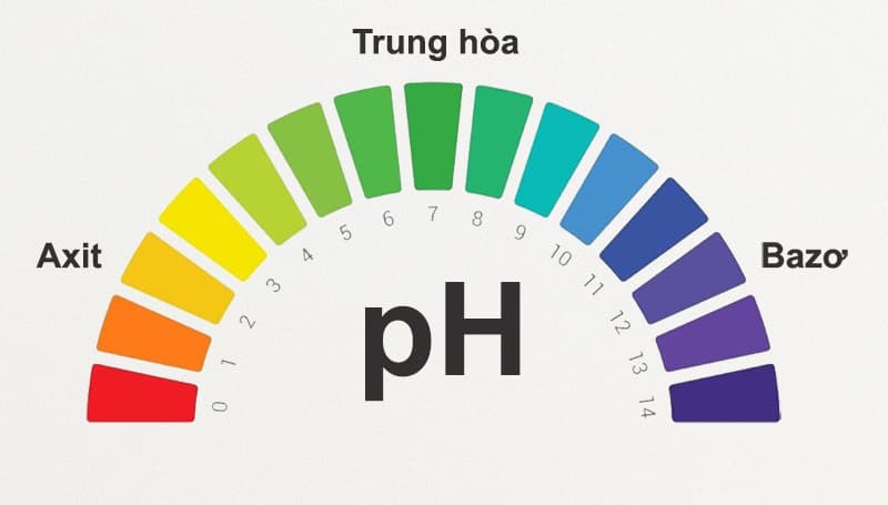 Độ pH trong nước sinh hoạt: Tiêu chuẩn, ảnh hưởng và cách kiểm tra
