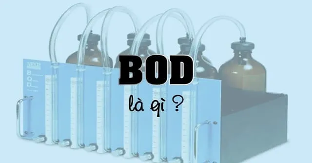 Chỉ số BOD (Nhu cầu oxy sinh hóa) trong xử lý nước thải