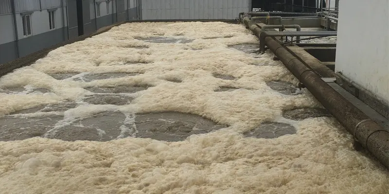 Hiện tượng bể hiếu khí nổi bọt trắng: Nguyên nhân và cách khắc phục