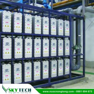 Thiết bị lọc nước EDI 2000L/H Canpure (CP2000S)