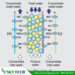 Thiết bị lọc nước EDI công suất 5000L/H Canpure (CP5800S)