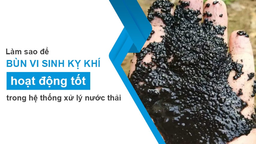 Bùn kỵ khí trong hệ thống xử lý nước thải