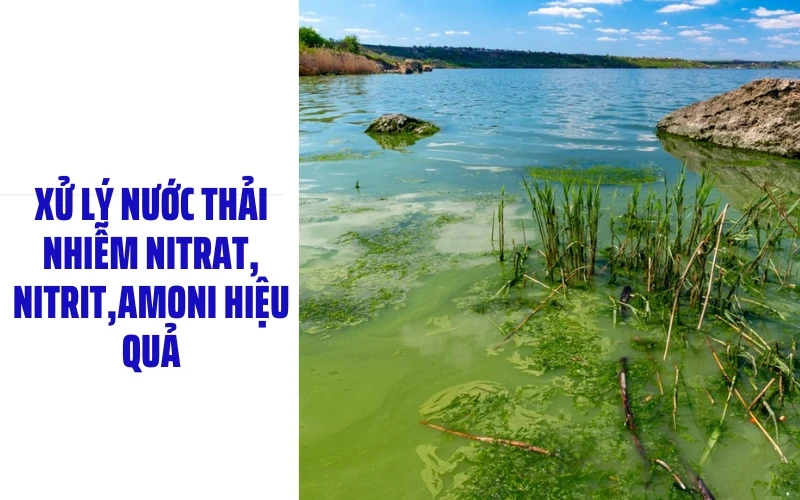 Nước nhiễm nitrat (NO3): Nguồn gốc, tác hại và cách xử lý