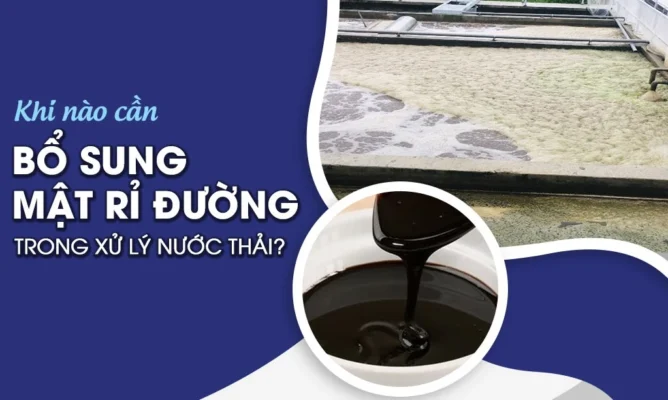 Mật rỉ đường trong xử lý nước thải: Nguồn gốc và ứng dụng