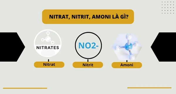 Những khu vực nào nguồn nước bị nhiễm nitrat, nitrit, amoni?