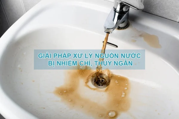 Xử lý nước nhiễm chì bằng Bộ lọc nước đầu nguồn