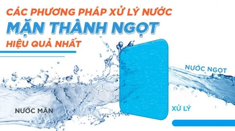 Phương pháp xử lý nước nhiễm mặn thành nước ngọt hiệu quả nhất
